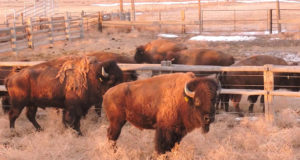 News from around the County and state