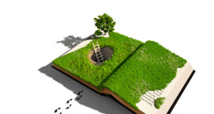 7th annual essay issue