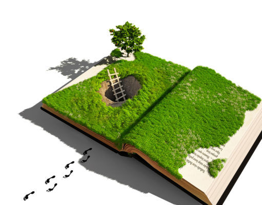 7th annual essay issue