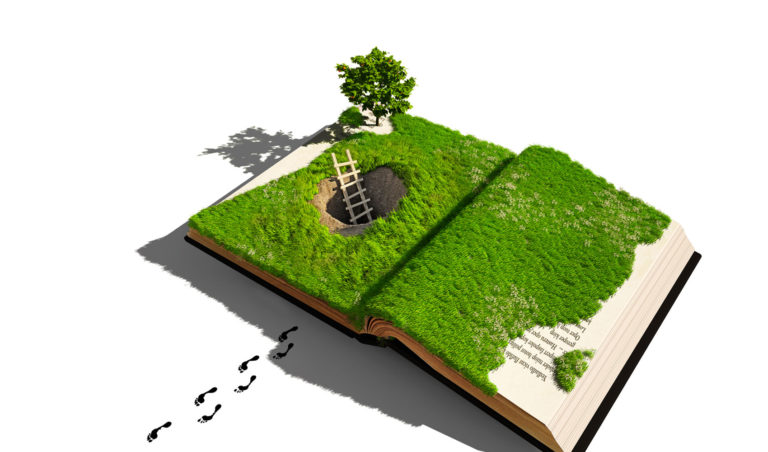 7th annual essay issue