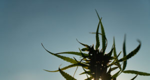 Guiding a growing industry