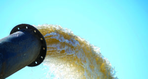 Ditches are a vanishing paradise