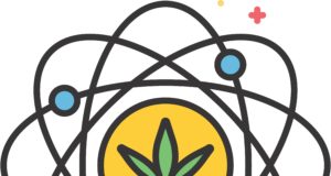 The entourage illusion?