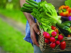 Plenty of food, but not for all farmworkers