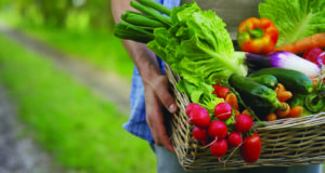 Plenty of food, but not for all farmworkers