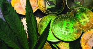 Embracing crypto-cannabis