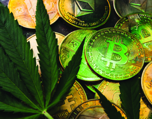 Embracing crypto-cannabis