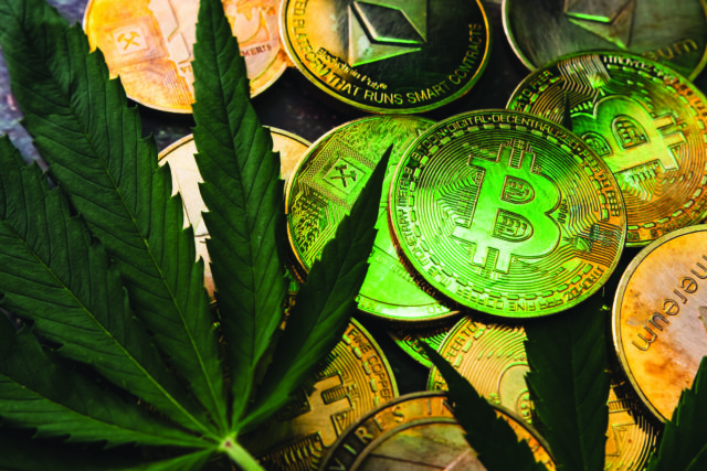 Golden,Coins,With,Crypto,Currency,Symbol,And,Cannabis,Leaves.