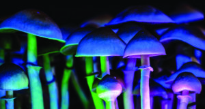 Choosing how to heal