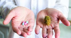 Swapping poppies for chronic