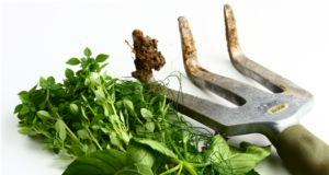 What to do when there’s nothing to do