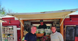 The cure for retirement