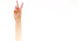 Drink in the summer sun