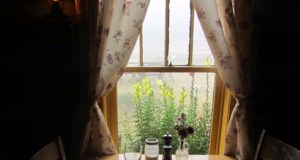 Mountain taste stops