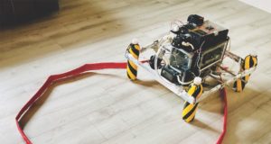 A whale of a solution