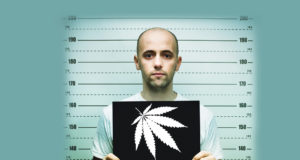 The cannabis war rages on