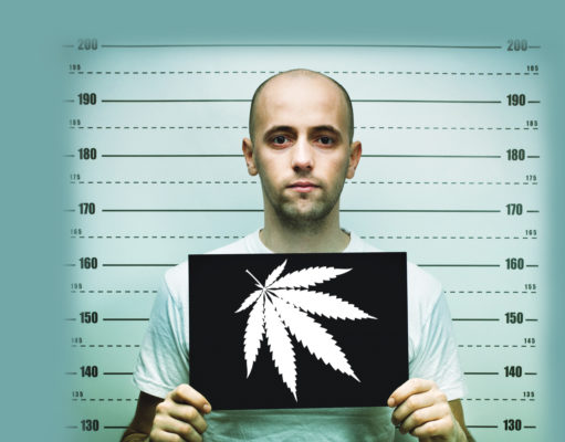 The cannabis war rages on