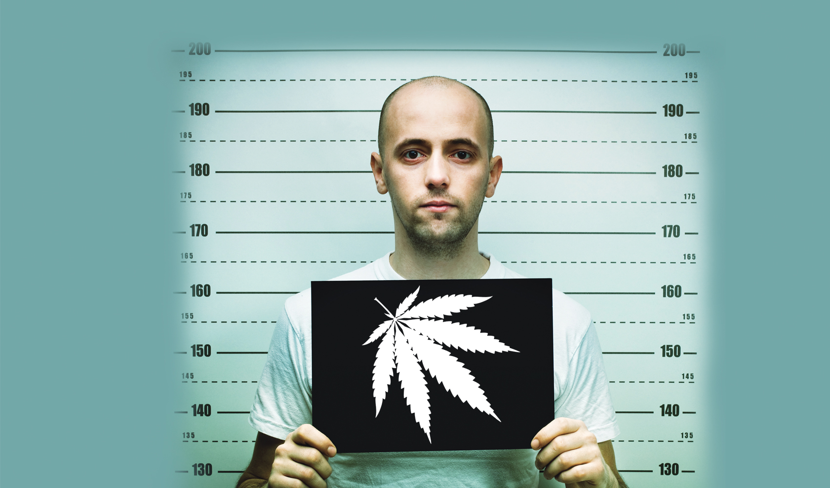 The cannabis war rages on