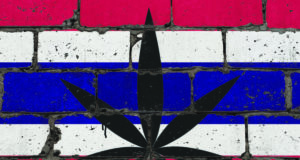 Thailand’s green gold rush