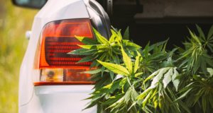 Spilling over into traffic