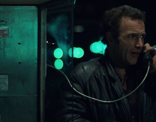 The tiger in the jungle