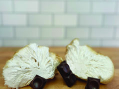 Functional fungi weds heirloom cacao in ceremony at Boulder chocolate company