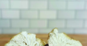 Functional fungi weds heirloom cacao in ceremony at Boulder chocolate company