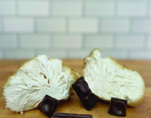 Functional fungi weds heirloom cacao in ceremony at Boulder chocolate company