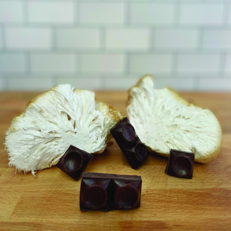 Functional fungi weds heirloom cacao in ceremony at Boulder chocolate company