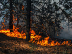 Increased climate tax and police reform