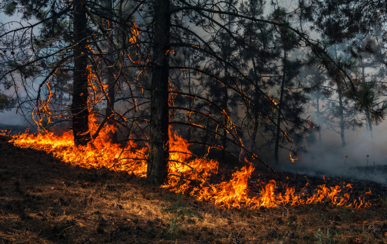 Increased climate tax and police reform