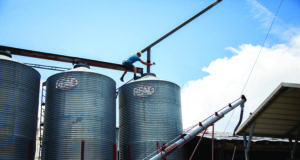 Filling gaps in our food system