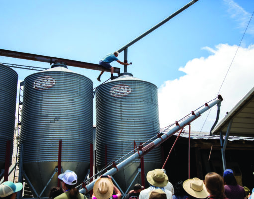 Filling gaps in our food system