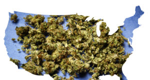 Growing the voter base