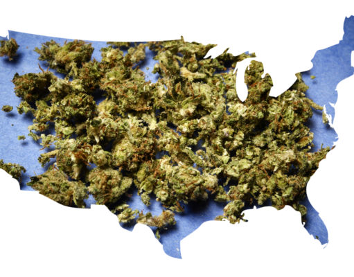 Growing the voter base