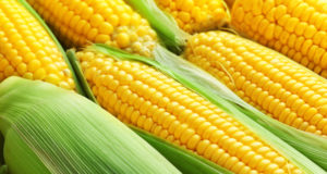 Corn do’s and don’ts