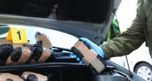 Legalization is working