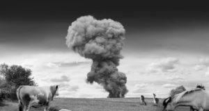 Erin Hyunhee Kang captures loss and healing in ‘A Home In Between’