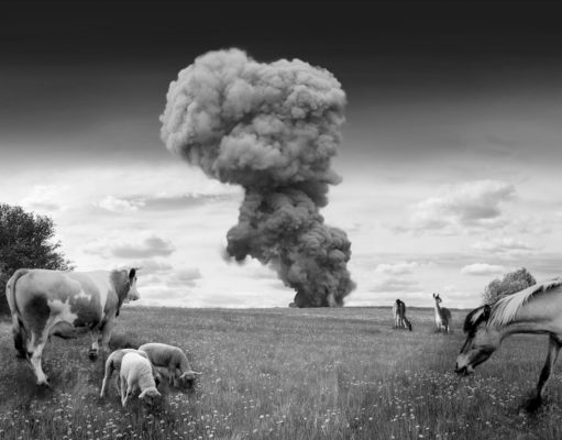 Erin Hyunhee Kang captures loss and healing in ‘A Home In Between’