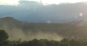 Reject the Cemex application