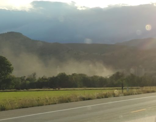 Reject the Cemex application