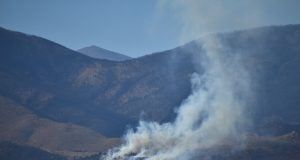 Eyes on the mitigation prize