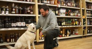 Work like a dog (or cat)