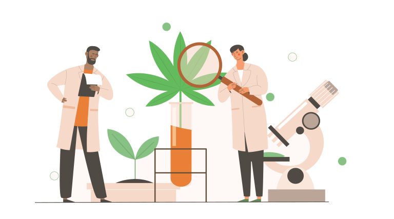Students of cannabis