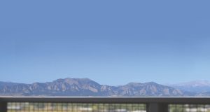 Stem Ciders branches out