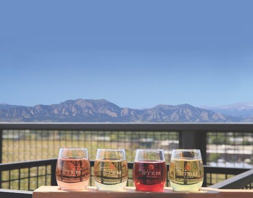 Stem Ciders branches out