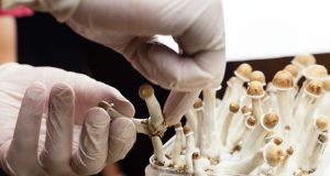 Tip of the psychedelic spear