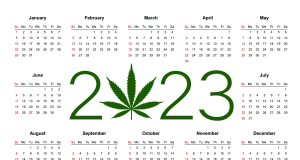 Looking back, looking forward