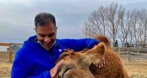 Critter Classifieds: Jan. 19, 2023