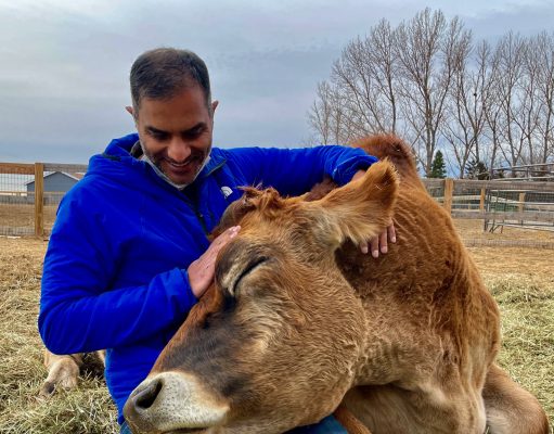 Critter Classifieds: Jan. 19, 2023